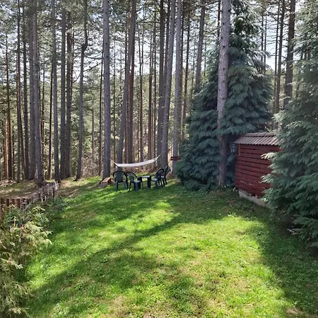 Ferienhaus Planinska Kuca Kosuta Bajina Basta