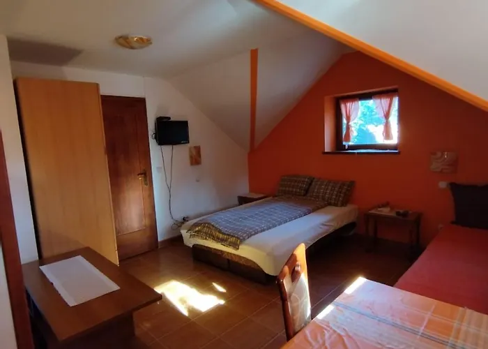 펜션 Planinska Kuca Kosuta *