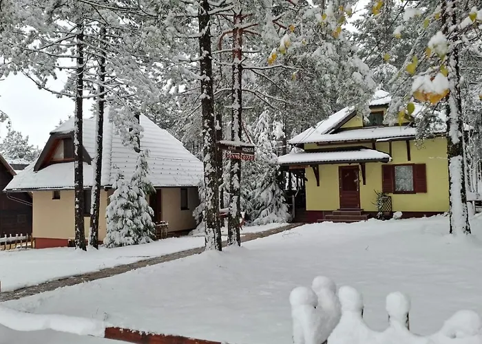 펜션 Planinska Kuca Kosuta 바이나 바슈타