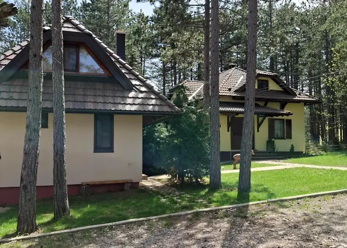 Planinska Kuca Kosuta 펜션 바이나 바슈타