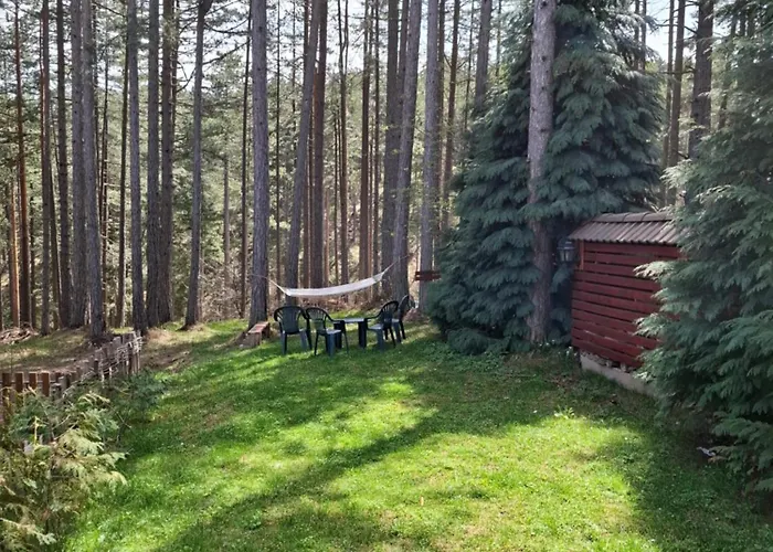 펜션 Planinska Kuca Kosuta 바이나 바슈타